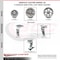 Service Caster 5 Inch V-Groove Semi Steel Caster Set with Ball Bearings 2 Brakes 2 Rigid SCC SCC-20S520-VGB-TLB-2-R-2 - alternate 6